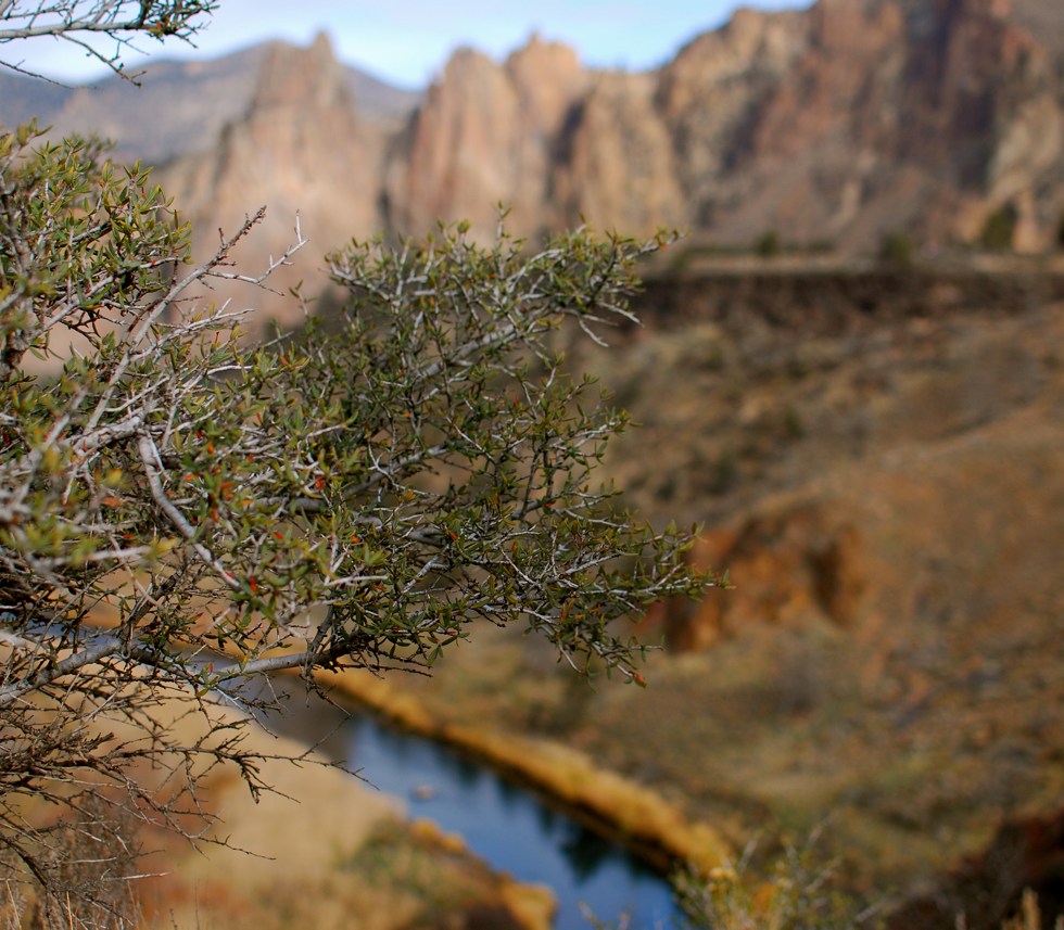 Smith Rock1