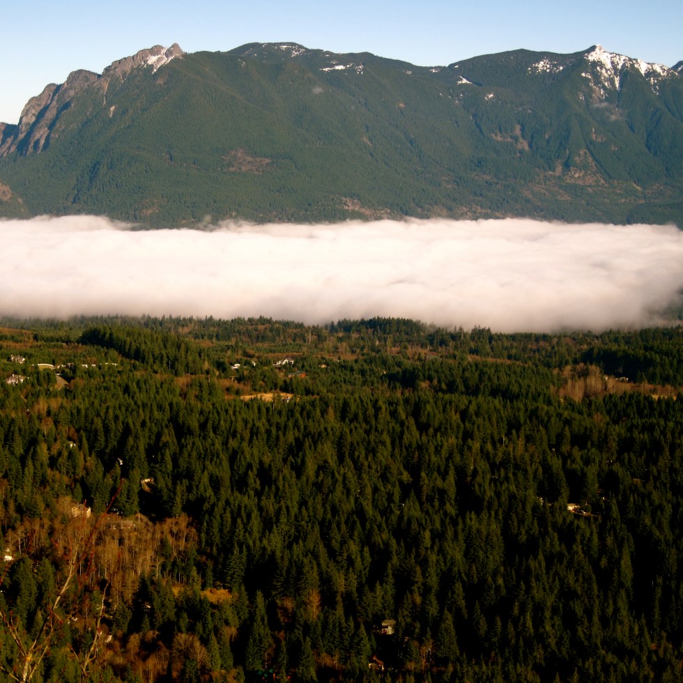 Rattlesnake Mountain Fog
