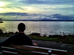 Golden Gardens Bench