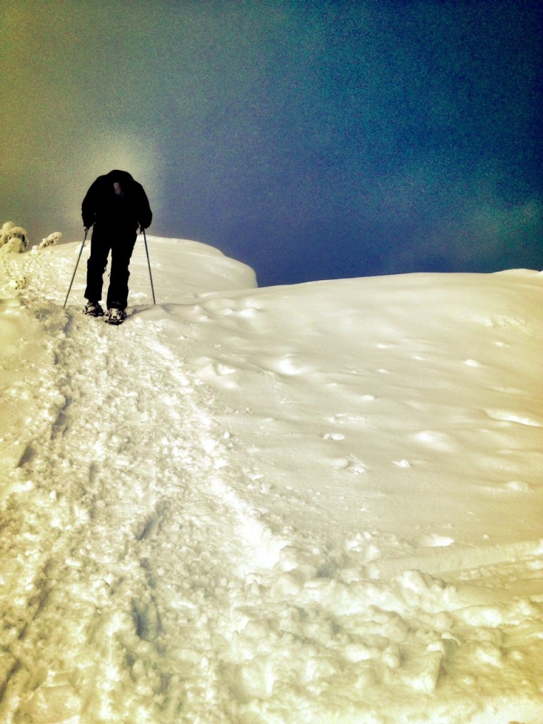 Hurricane_Ridge_Hiking