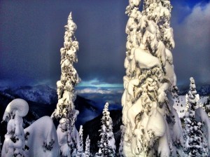 Hurricane_Ridge