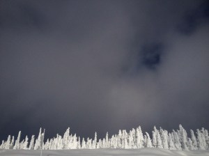 Hurricane_Ridge