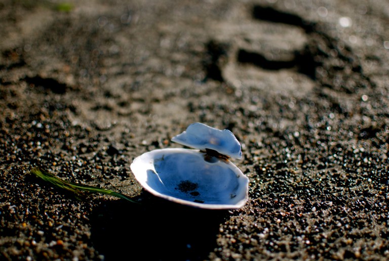 Open Shell2