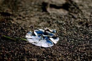 Crushed Shell
