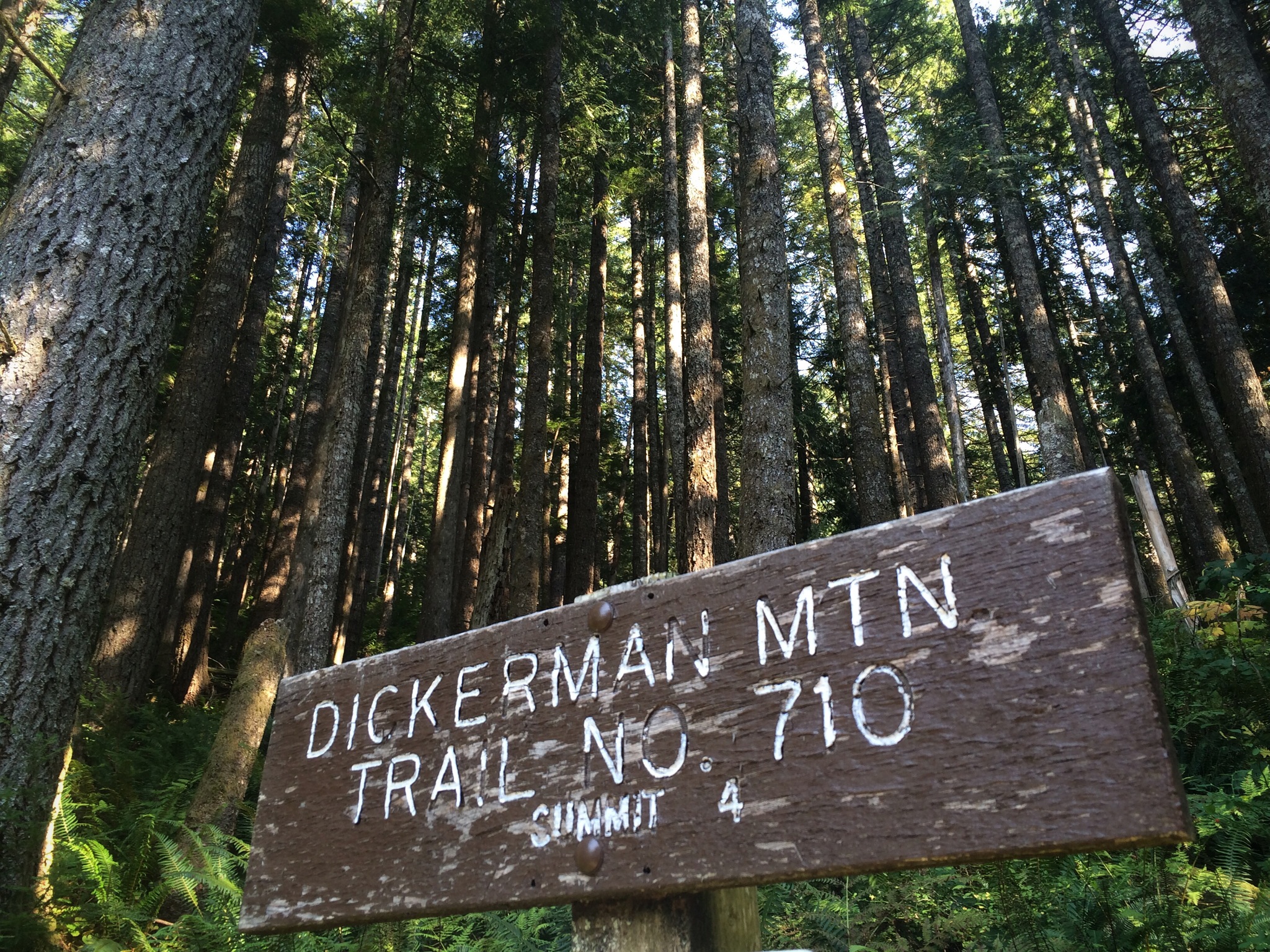 Dickerman_Sign