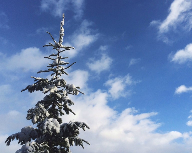 Processed with VSCOcam with t1 preset