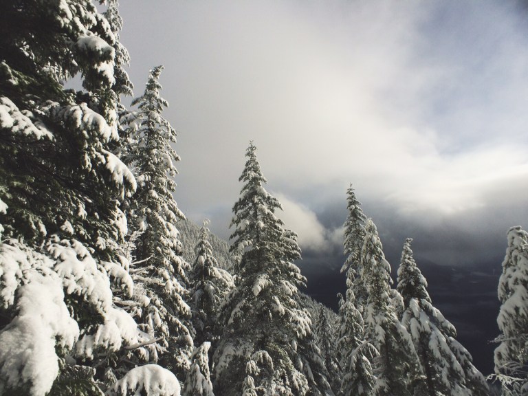 Processed with VSCOcam with t1 preset