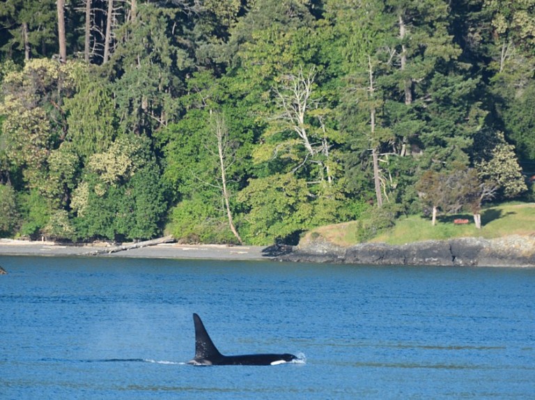 Processed with VSCO with a5 preset