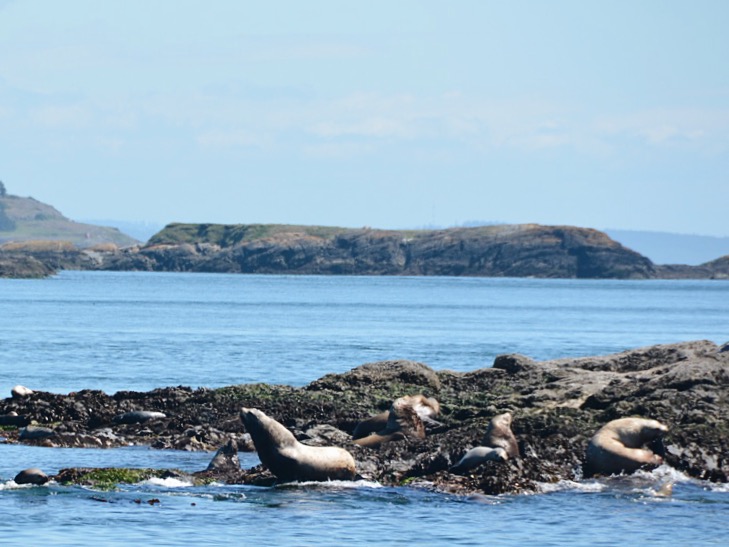 Processed with VSCO with a6 preset