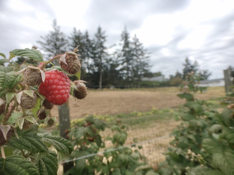 Processed with VSCO with a6 preset