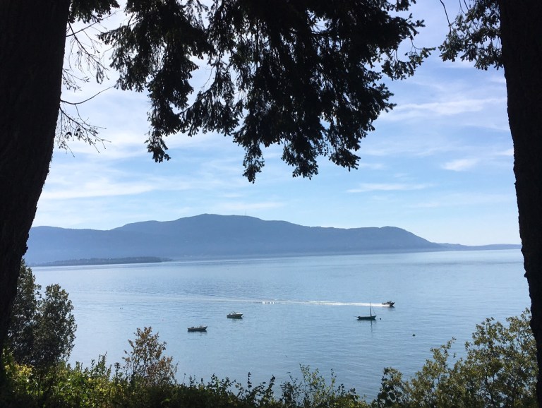 Processed with VSCO with a6 preset