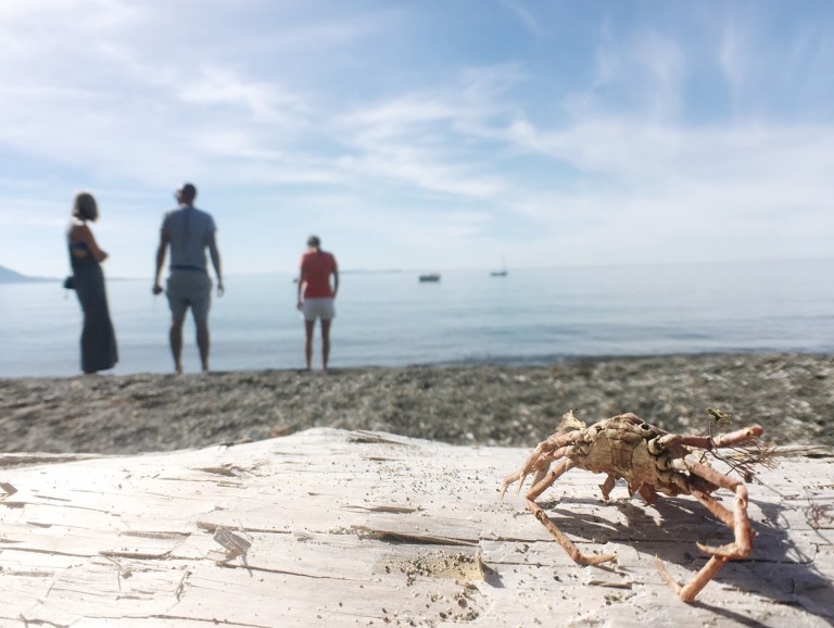 Processed with VSCO with a6 preset