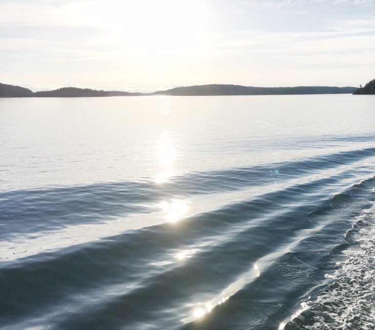 San_Juan_Islands_FerryWaves