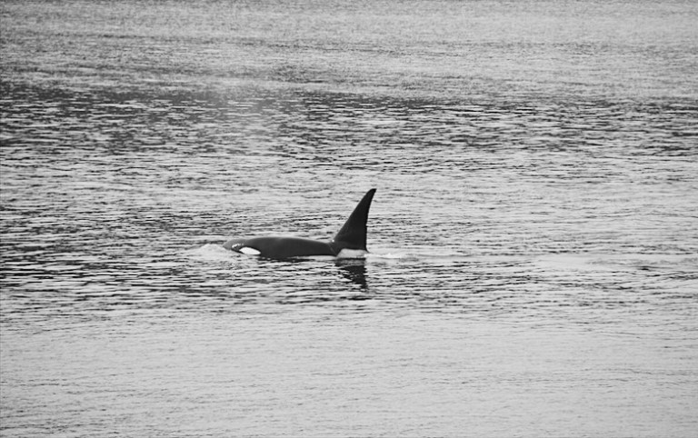 Processed with VSCO with b1 preset