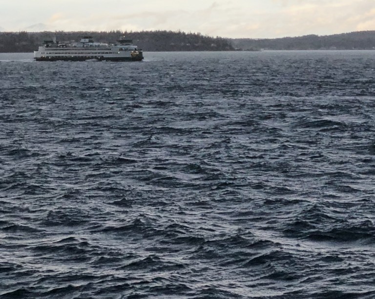 AAAA7166-44C8-4A91-B3E3-9A83D3519572