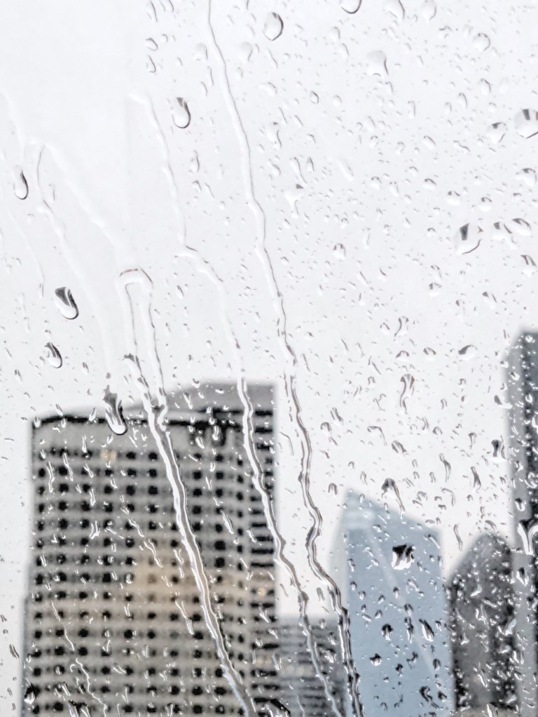 F38FDA1F-18B2-47B8-87E6-225E0BB428FC