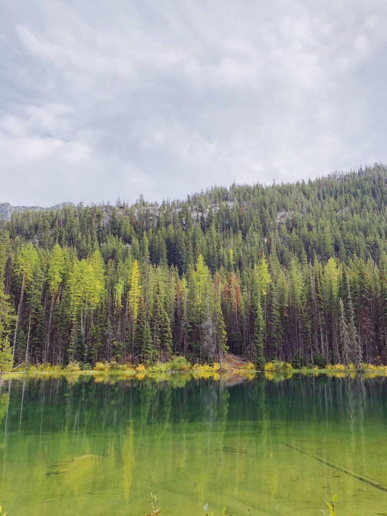 Processed with VSCO with au1 preset